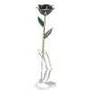 Long Stem Dipped 24k Gold Trim Red Rose In Gold