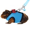 Rypet Guinea Pig Harness and Leash - Soft Mesh Small