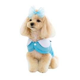 PETRIUM Dog Cooling Vest - Cute, Lightweight, Breathable, Reflective Cooling Jacket for Dogs - Keeps Pets Cool and Comfortable - Ideal for Hot Weather, Outdoor Activities, and Exercise