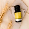 ECO. Modern Essentials Chamomile 3% (German) Essential Oil, 10ml