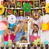 Hilloly 43pc Party Decorations, Theme Birthday Supplies, Balloons, Banner, Cupcake