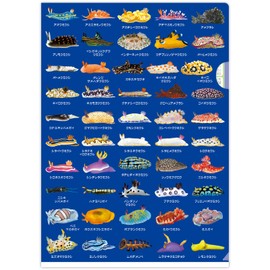 The Access Umiushi Picture Book Clear File A4 Umiushi Encyclopedia