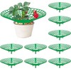 codree 10 Pack Strawberry Plant Supports, Strawberry Plant Stand with