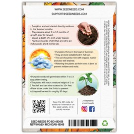Seed Needs, Jack Be Little Pumpkin Seeds - 50 Heirloom Seeds for Planting Cucurbita Pepo - Non-GMO & Untreated to Plant a Home Grown Pumpkin Patch (5 Packs)