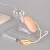 MedEduQuest Female Catheterization Simulator Set, Catheter Insertion Model for Medical