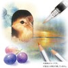 Staedtler Karat Aquarell Special Package Watercolor Pencils 60 Colors 125