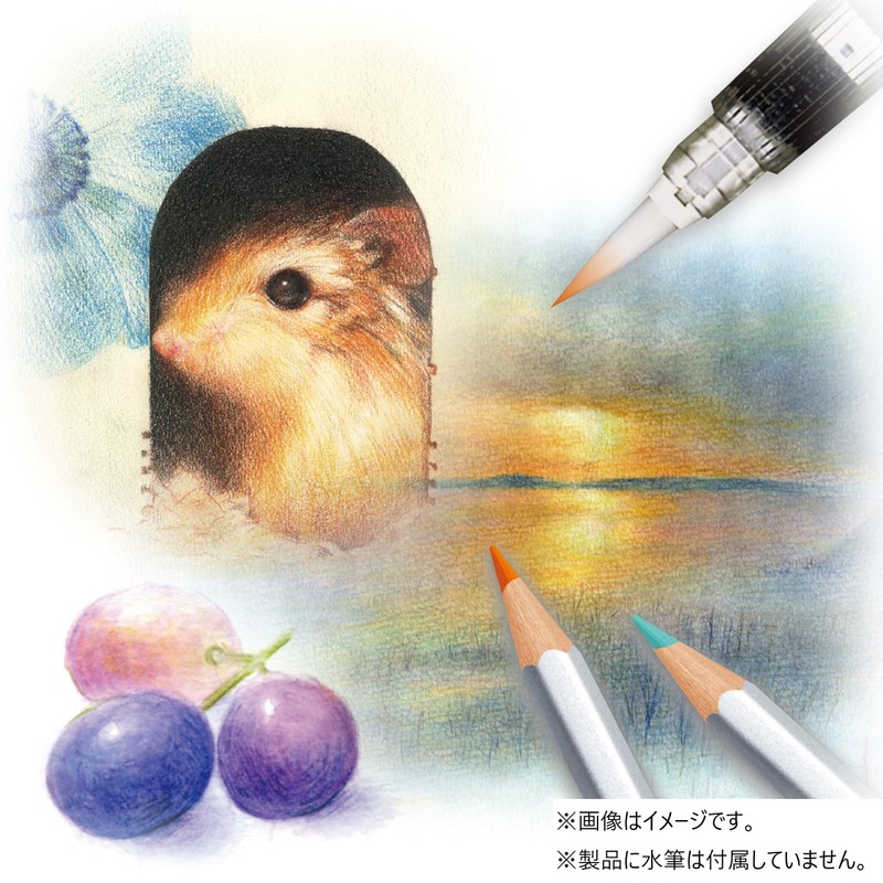Staedtler Karat Aquarell Special Package Watercolor Pencils 60 Colors 125