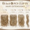 BARSDAR Clip-In Extensions, Wavy Clip-In Hair Extensions, Highlight for Women,