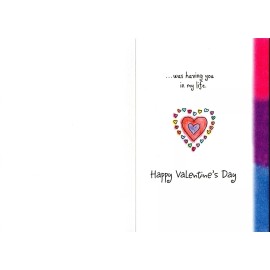 BLUE MOUNTAIN ARTS VALENTINE'S CARD "BEST VELENTINE EVER GOT YOU IN MY LIFE"