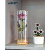 wisedry Decorative Glass Jar Display Case with Bamboo Base for