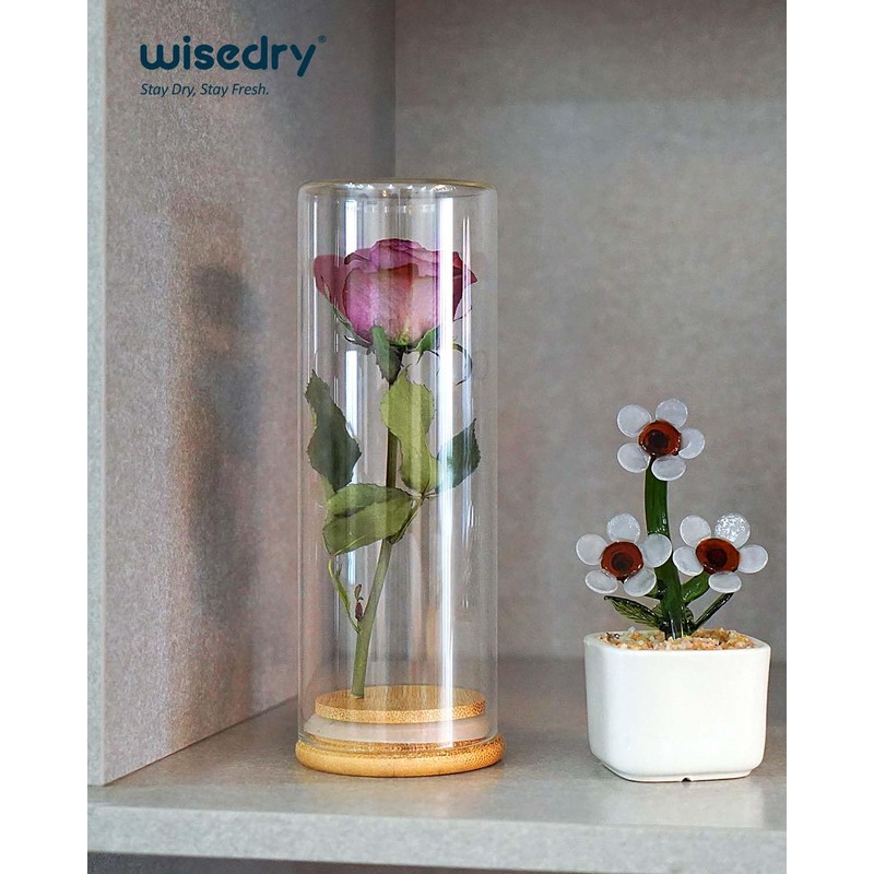 wisedry Decorative Glass Jar Display Case with Bamboo Base for