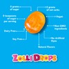 Zolli Drops Fruit Vegan KETO Allergy-Free Zero Sugar 29oz