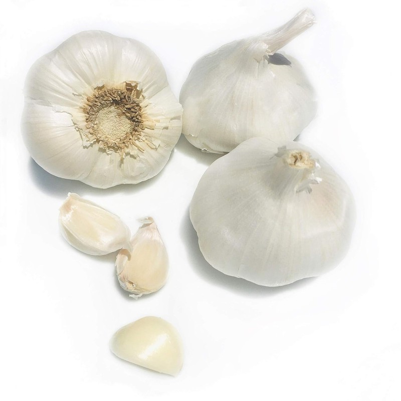 Fresh Garlic Bulbs Home Grown in CA,USA. - Qty :