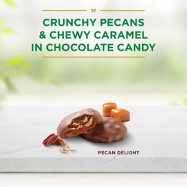 RUSSELL STOVER Sugar Free Pecan Delight Chocolate Candy, 4.7 oz. bag - Sugar Free Chocolate Candy