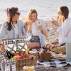 Neti Neti Wicker Picnic Basket Set for 4 with Waterproof