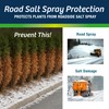 Wilt-Pruf® Concentrate | Protect Against Winter Damage, Drought, and Stress