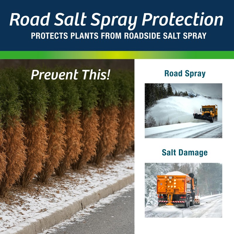 Wilt-Pruf® Concentrate | Protect Against Winter Damage, Drought, and Stress