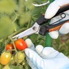 KAKURI GardeningPro 70265 Cork Handle Bud Cutting Shears, Total Length
