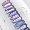 Divock Divok Unicorn Glitter Magnetic Gel 10-piece set + 2