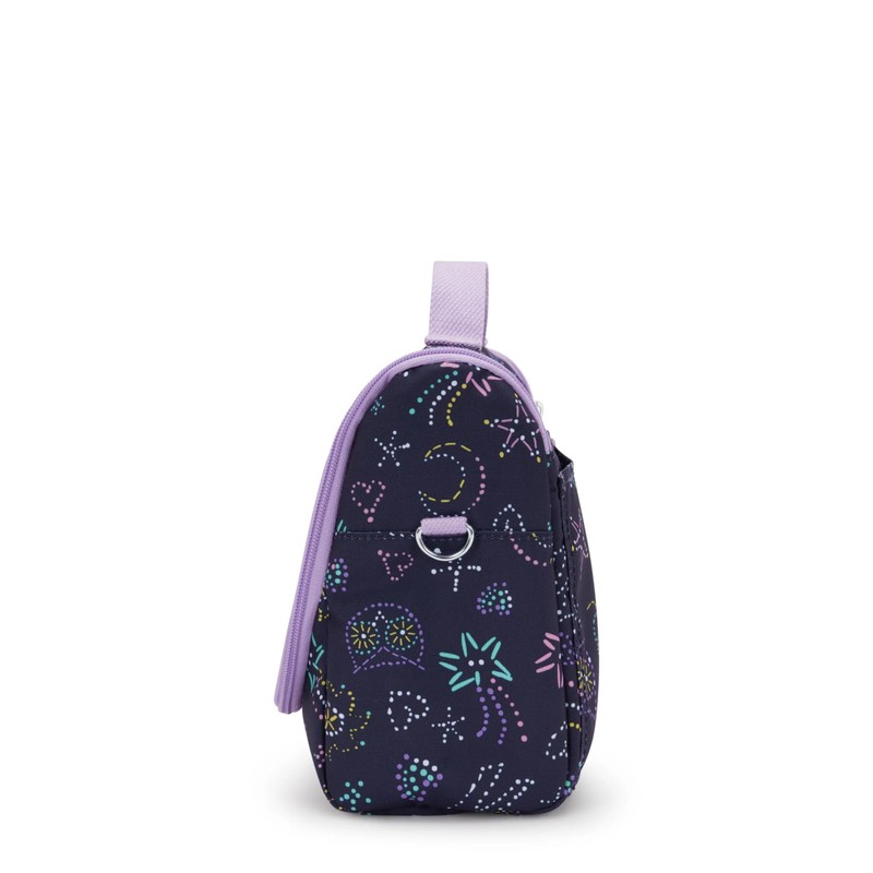 Kipling New Kichirou Printed Lunch Bag