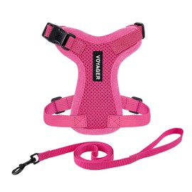 Best Pet Supplies Voyager Step-In Lock Pet Harness - All Weather Mesh Adjustable Step-in Harness for Cats and Dogs - Fuchsia, XXXS