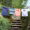 JS Hanger Drying Natural Retractable Clothesline Outdoor Indoor Laundry Line-49