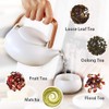 ZENS Teapot with Infuser,Matte Ceramic Japanese Tea Pot for Loose