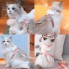 RTRTGS Rabbit Cat Harness with Lead, Adjustable Rabbit Lead, Cat