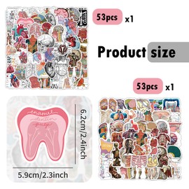 arrderly Pack of 100 Organ Anatomy Stickers, Computer Notebook Stickers, Organ Stickers for Bicycle, Luggage, Skateboard, Bumper, Motorcycle, Fridge, Laptop