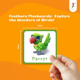 Color Pencil Feathers Flashcards - 36 Cards in a Box | Learn About Bird Feathers & Ornithology | Educational Gift for Kids Ages 2-4 | Baby Learning Cards, Educational, Preschool Learning