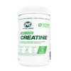 PVL 100% Pure Creatine | Creatine Monohydrate Micronized Powder |