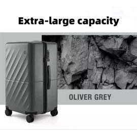 NINETYGO Trunk Luggage 24 Inch, Medium Checked Luggage with Double Spinner Wheels, Anti-Burst Zipper, Hard Case PC Suitcase, Lightweight Travel Luggage, TSA Approved (Slate Grey, Hudson)