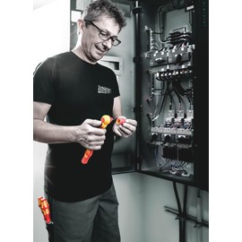 Wera 05005931001 8790 A VDE Zyklop Socket Insulated with 1/4 Inch Drive 5 x 41 mm