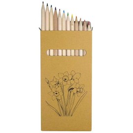 Azeeda 12 x ' Boquet of Daffodils' Long 178mm Coloured Pencils/Pencil Set (PE00067941)