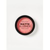 Technic Matte Blusher Kitten
