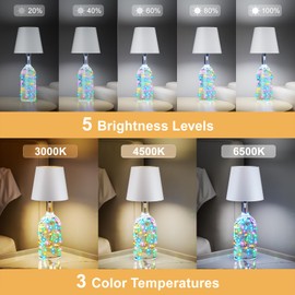 Wireless Bottle Lamp with Remote & Timer, Cordless Table Lamp with RGB String Lights, Rechargeable Touch Lamps with Dimmable & 3 Color Temps,Wine Bottle Light for Bedroom, Bar, Party, Gift(1 Pack)