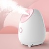 Face Steaming Machine Deep Cleansing Hydrating Hot Mist Face Humidifier