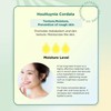 TUNEUP Dokudami Daily Protection Sheet Mask - 36 Sheet