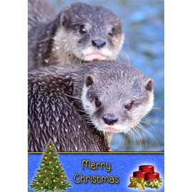 Otter Wild Animal Christmas Card 'Merry Christmas' - Special Xmas Card for Him Her Kids Male Female