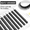 CoMango Bottom Lash Extension J/B/C Curl Mink Individual under lashes