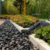SHIZWU Polished Black River Rocks - 2-3 inch 40LB High