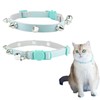 Spiked Cat Collar with Bells, Breakaway Genuine Leather Protective Collar