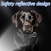 Reflective Adjustable Dog Collar, Soft Nylon Breathable Pet Collar, Quick