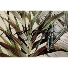 "Naturally Blue" Set of Herons - Right & Left - by Art LaMay