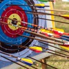 PATIKIL 250 Grain Archery Arrow Brass Insert, 6 Packs Insert