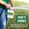Turf Titan Lawn Advancer Fast-Acting Liquid Lawn Fertilizer (32 oz)