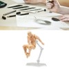 Movable Mannequin, Action Figure Body, Adjustable Poses, Drawing Model for