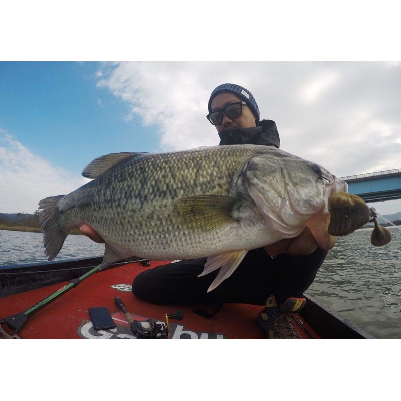 Berkley Max Scent Pultale 4.2" Camo PBMSPT4.2-C Black Bass Rockfish