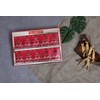 Hansol Red Ginseng 6-year-old Korean red ginseng slices 20g 10