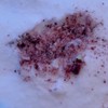 Bloody Lip Tint and Stain OG -:_Bleeding Crystal